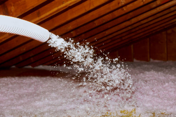 Best Residential Insulation in Iona, ID