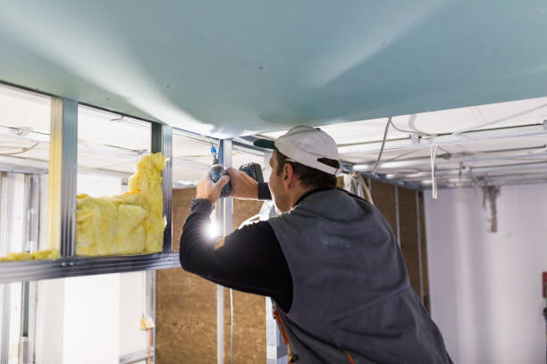 Best Eco-Friendly Insulation in Iona, ID
