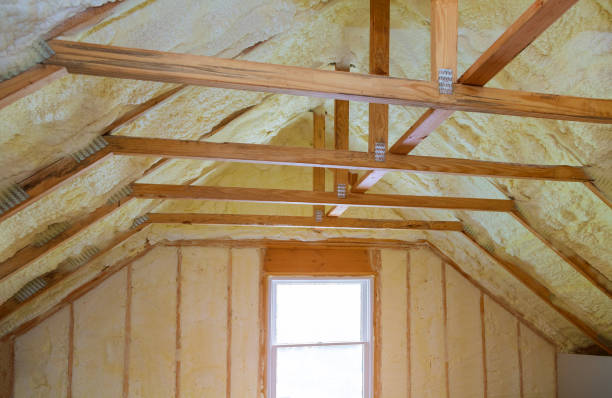 Best Cellulose Insulation in Iona, ID