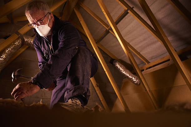 Best Insulation Maintenance and Repair in Iona, ID
